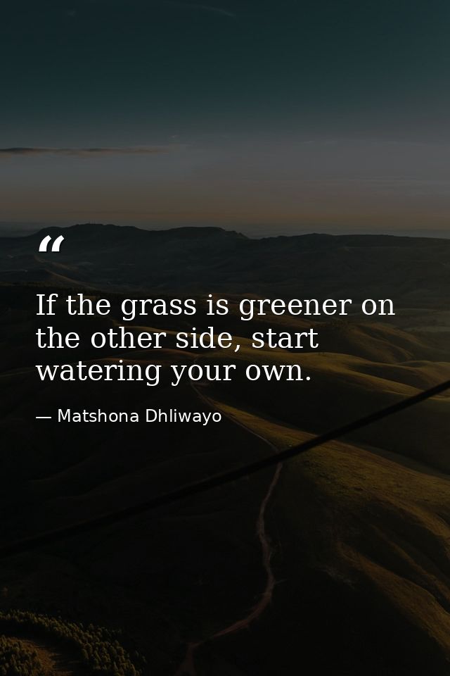 If the grass is greener on the other side, start watering your own. — Matshona Dhliwayo