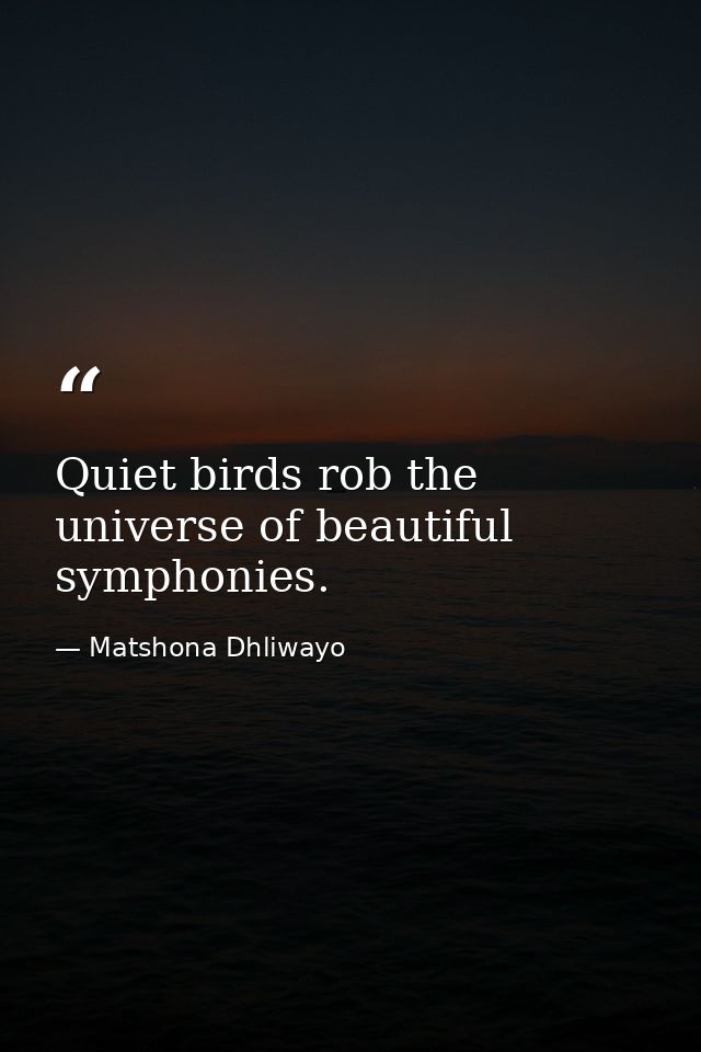 Quiet birds rob the universe of beautiful symphonies. — Matshona Dhliwayo