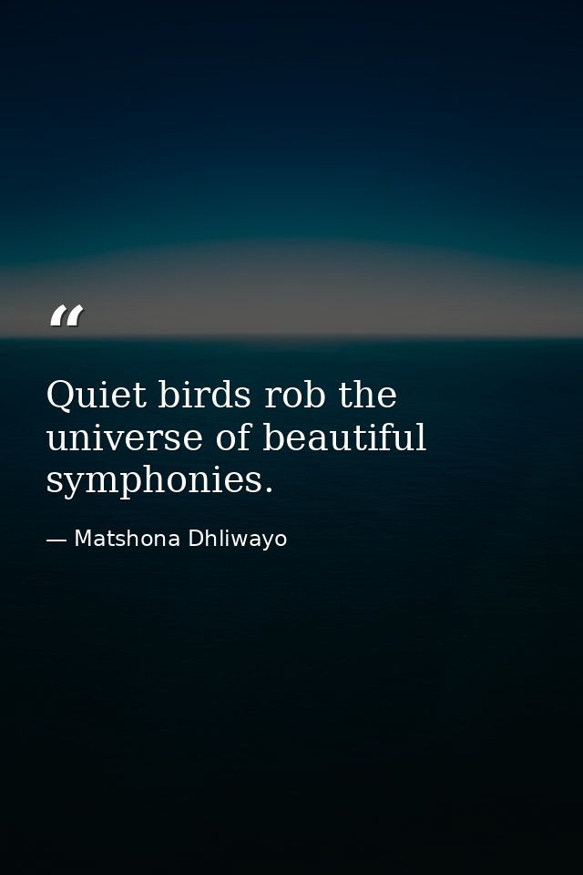 Quiet birds rob the universe of beautiful symphonies. — Matshona Dhliwayo