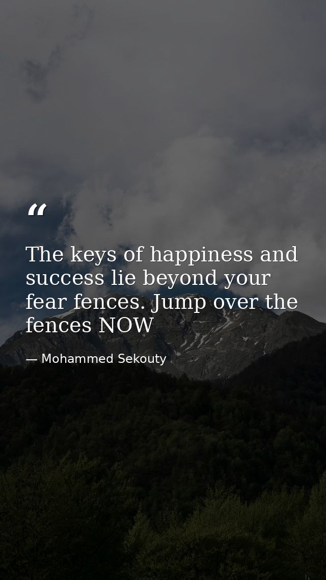 The keys of happiness and success lie beyond your fear fences. Jump over the fences NOW — Mohammed Sekouty