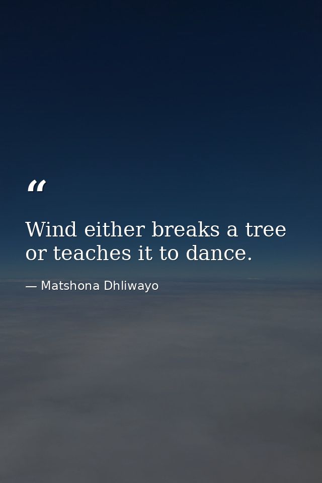 Wind either breaks a tree or teaches it to dance. — Matshona Dhliwayo