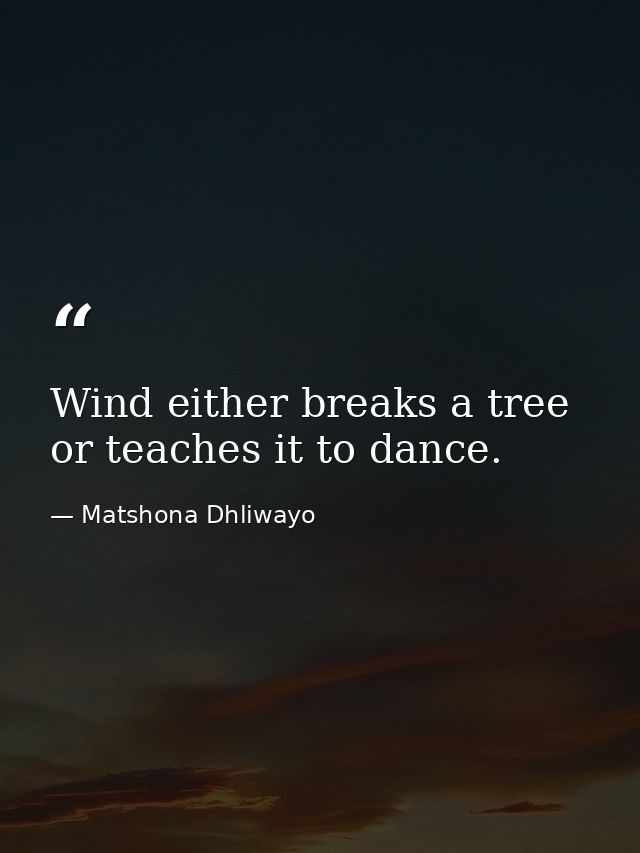 Wind either breaks a tree or teaches it to dance. — Matshona Dhliwayo