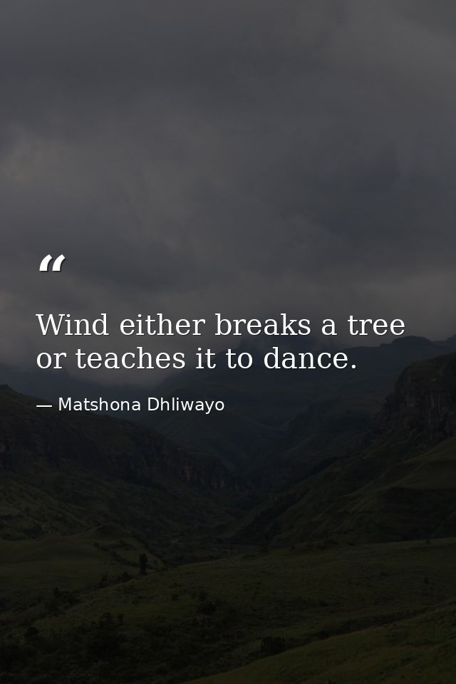 Wind either breaks a tree or teaches it to dance. — Matshona Dhliwayo