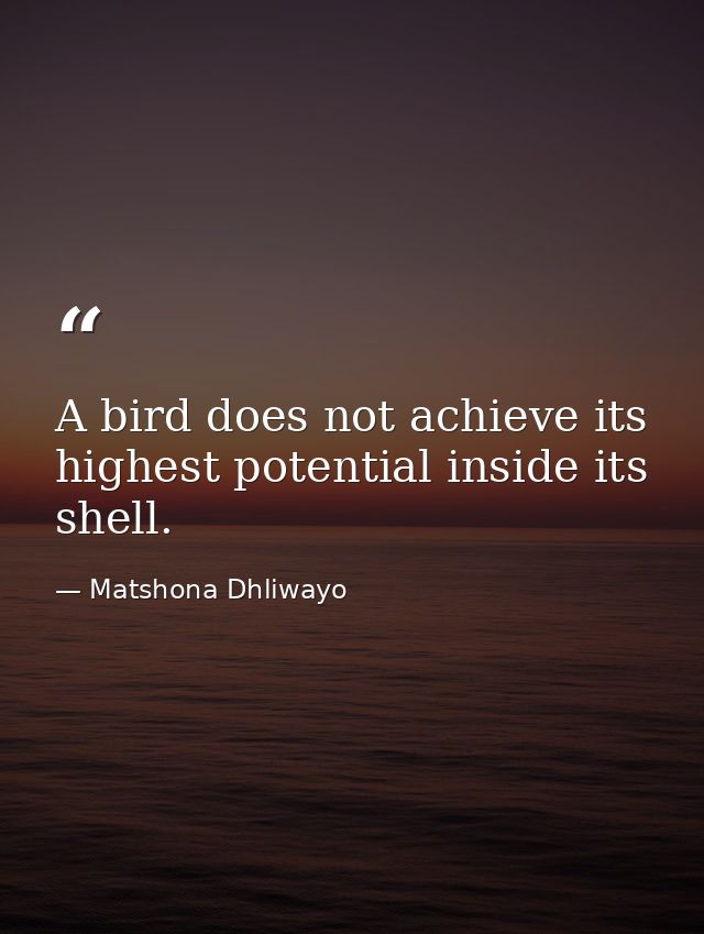 A bird does not achieve its highest potential inside its shell. — Matshona Dhliwayo