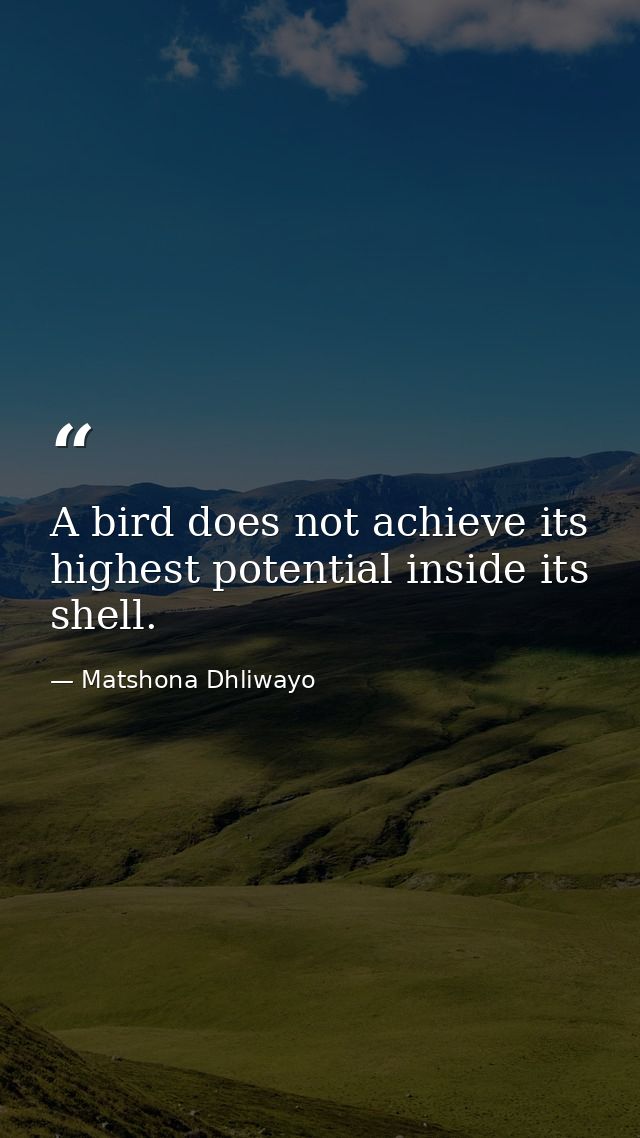 A bird does not achieve its highest potential inside its shell. — Matshona Dhliwayo