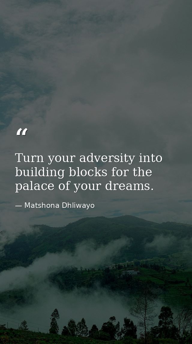 Turn your adversity into building blocks for the palace of your dreams. — Matshona Dhliwayo