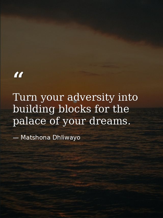 Turn your adversity into building blocks for the palace of your dreams. — Matshona Dhliwayo