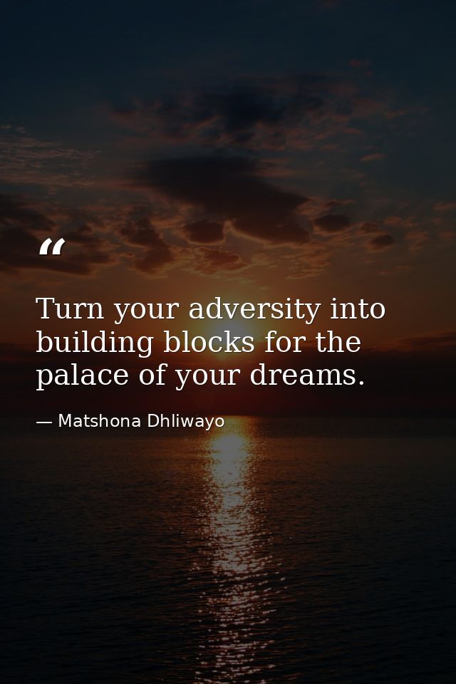 Turn your adversity into building blocks for the palace of your dreams. — Matshona Dhliwayo