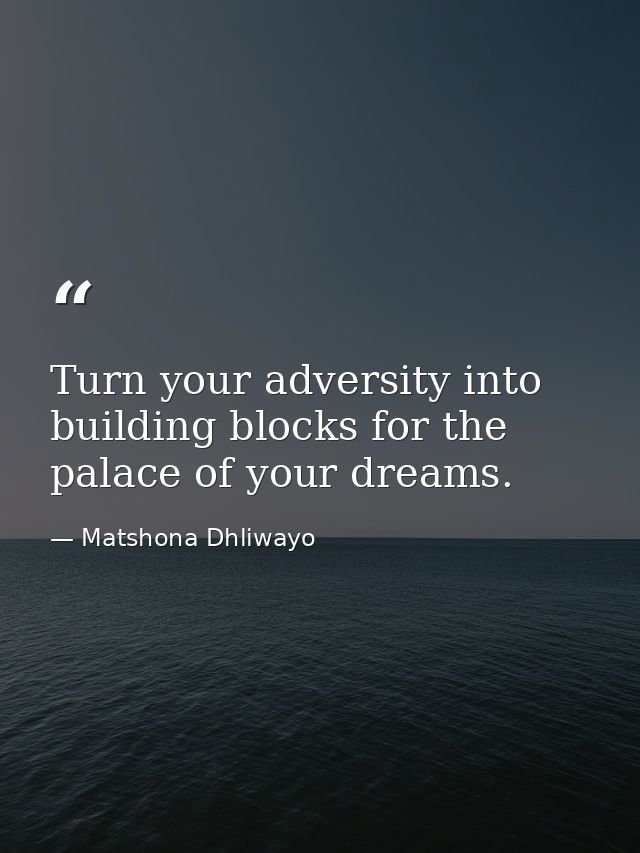 Turn your adversity into building blocks for the palace of your dreams. — Matshona Dhliwayo