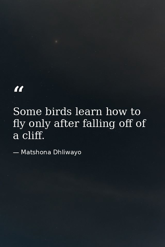 Some birds learn how to fly only after falling off of a cliff. — Matshona Dhliwayo