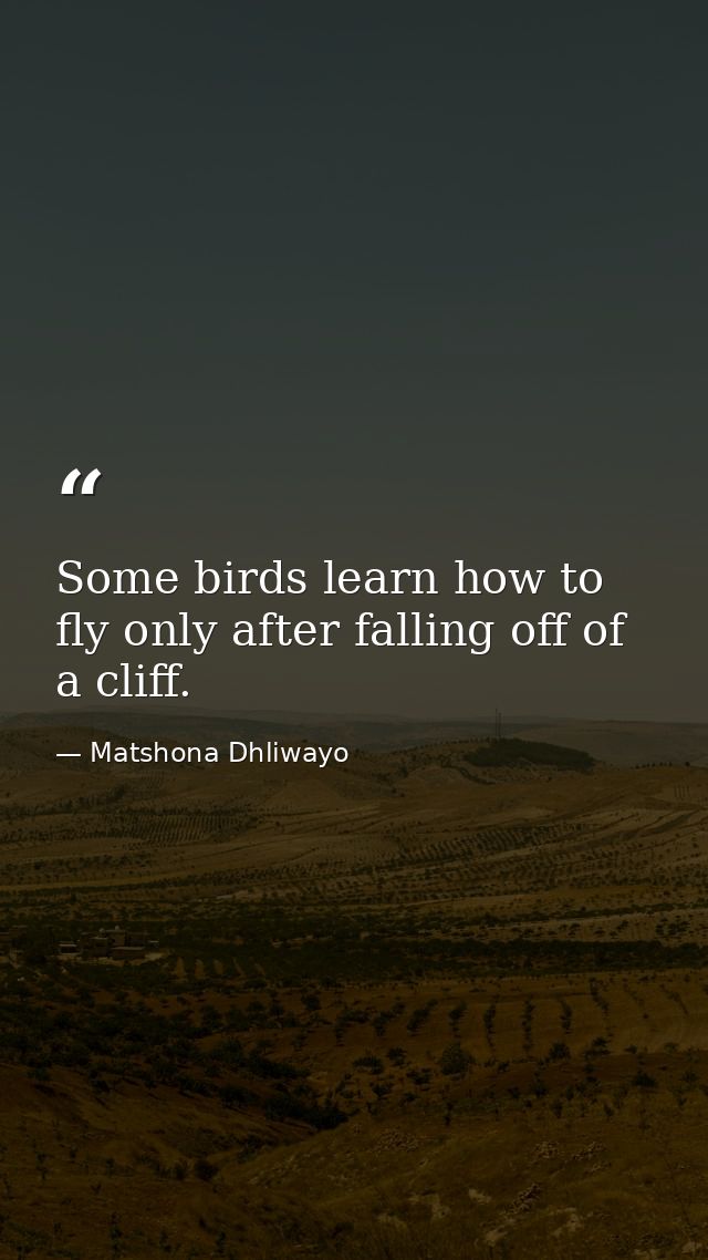 Some birds learn how to fly only after falling off of a cliff. — Matshona Dhliwayo