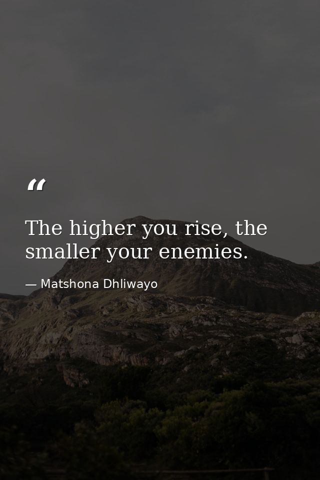 The higher you rise, the smaller your enemies. — Matshona Dhliwayo