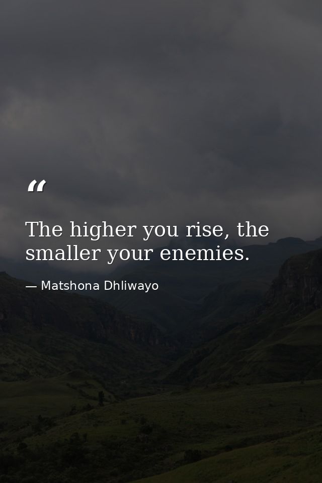 The higher you rise, the smaller your enemies. — Matshona Dhliwayo