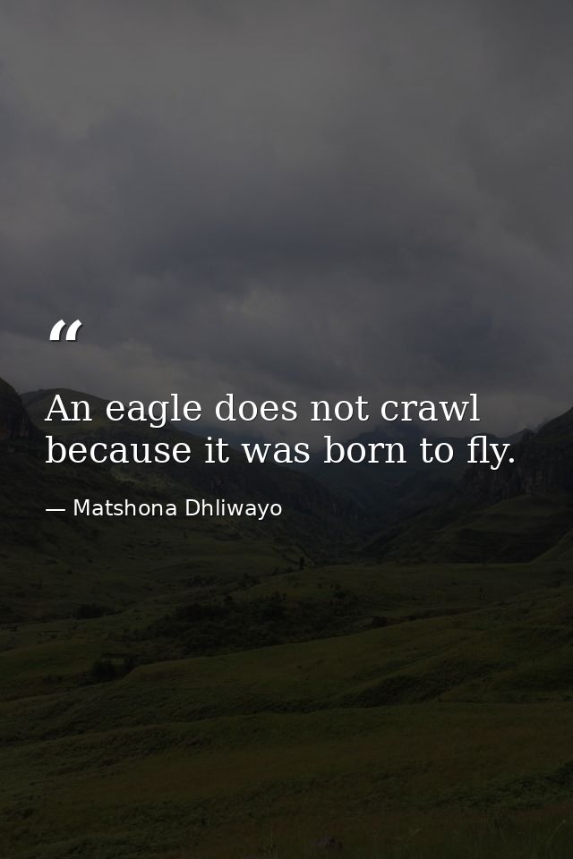 An eagle does not crawl because it was born to fly. — Matshona Dhliwayo