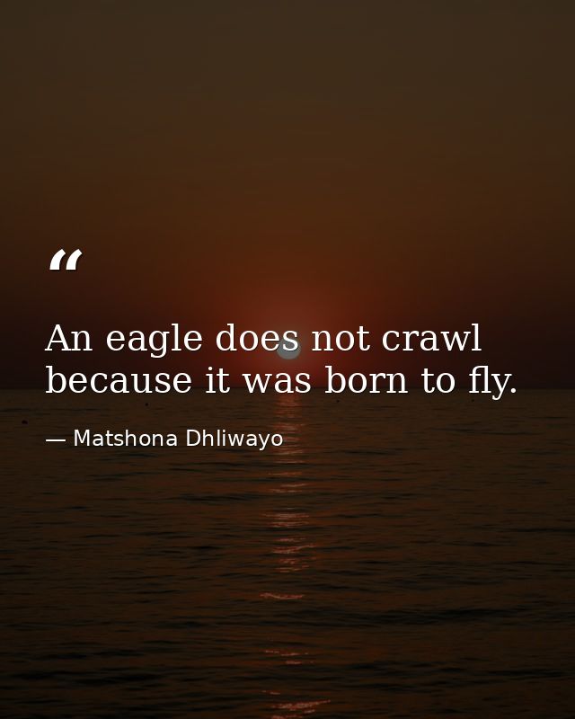 An eagle does not crawl because it was born to fly. — Matshona Dhliwayo