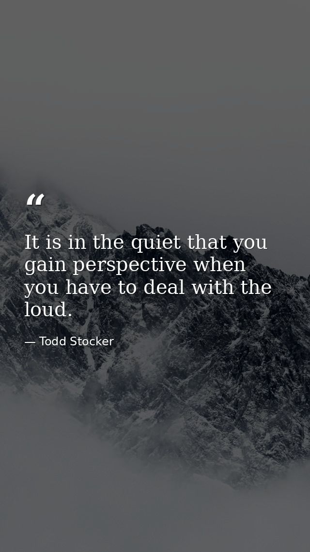 It is in the quiet that you gain perspective when you have to deal with the loud. — Todd Stocker