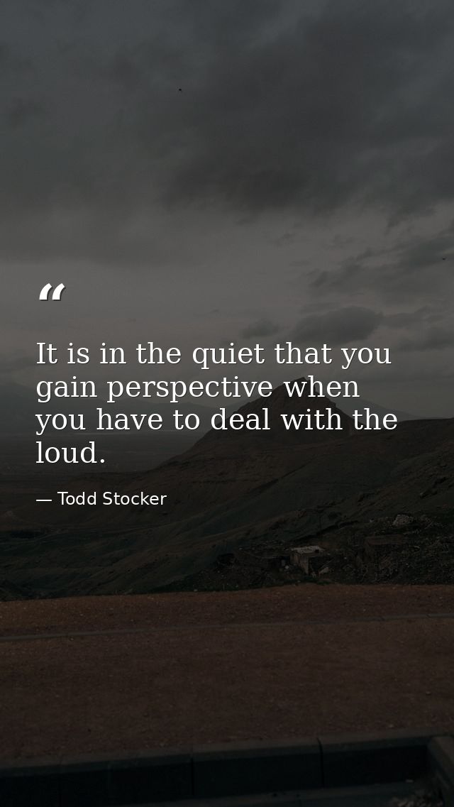 It is in the quiet that you gain perspective when you have to deal with the loud. — Todd Stocker