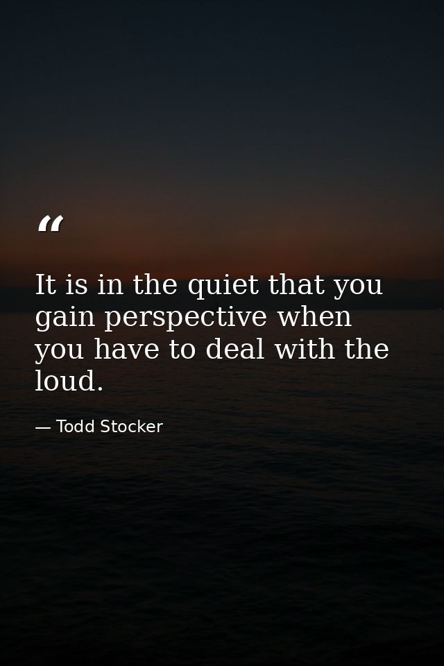 It is in the quiet that you gain perspective when you have to deal with the loud. — Todd Stocker