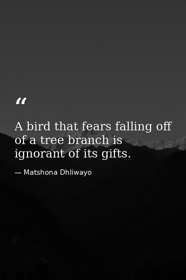 A bird that fears falling off of a tree branch is ignorant of its gifts. — Matshona Dhliwayo