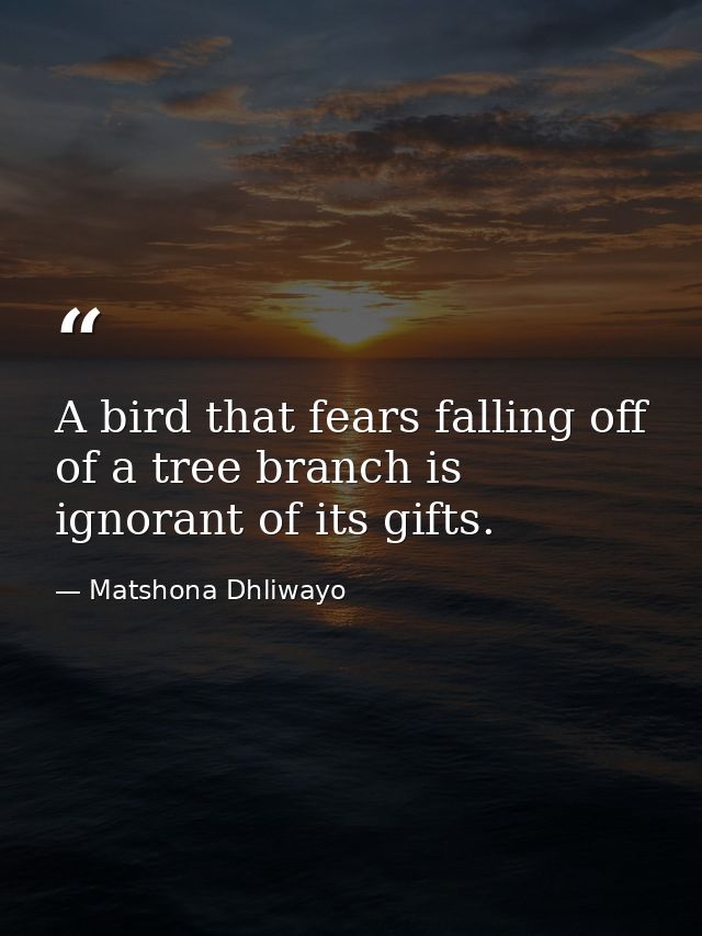 A bird that fears falling off of a tree branch is ignorant of its gifts. — Matshona Dhliwayo