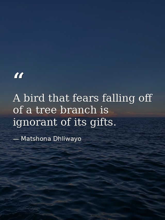 A bird that fears falling off of a tree branch is ignorant of its gifts. — Matshona Dhliwayo