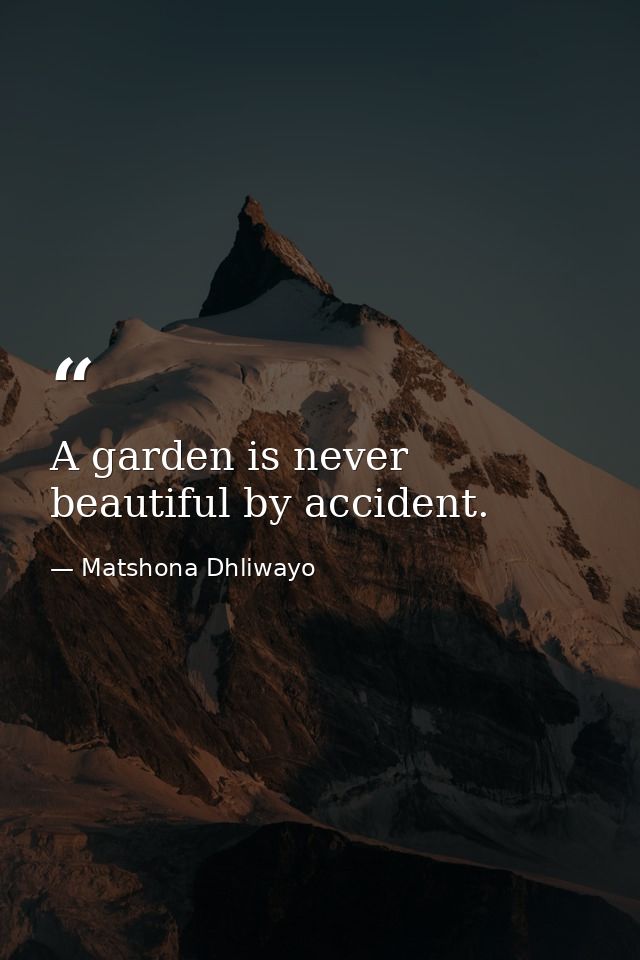 A garden is never beautiful by accident. — Matshona Dhliwayo