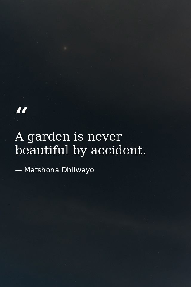 A garden is never beautiful by accident. — Matshona Dhliwayo