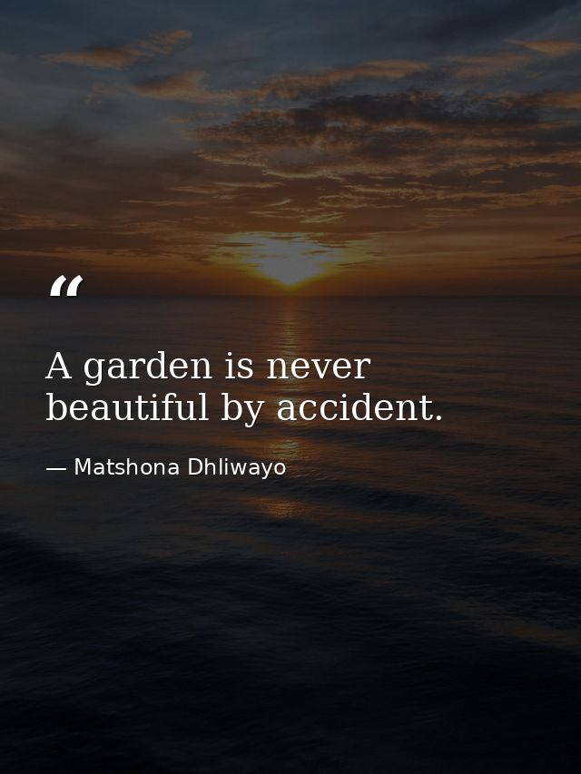A garden is never beautiful by accident. — Matshona Dhliwayo