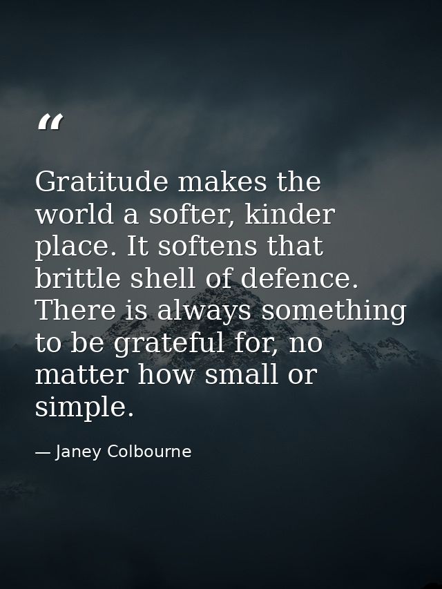 Gratitude makes the world a softer, kinder place. It softens that brittle shell of defence. There is always something to — Janey Colbourne