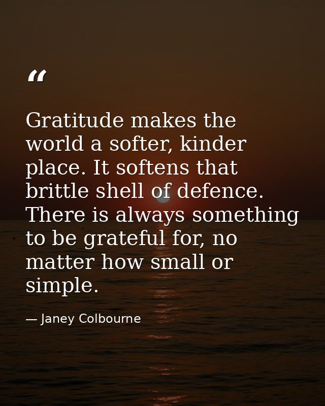 Gratitude makes the world a softer, kinder place. It softens that brittle shell of defence. There is always something to — Janey Colbourne
