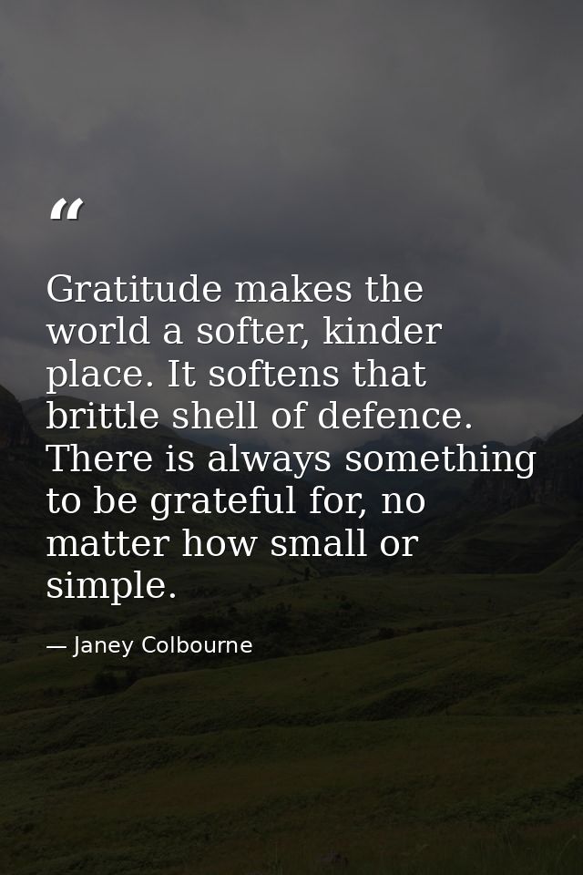 Gratitude makes the world a softer, kinder place. It softens that brittle shell of defence. There is always something to — Janey Colbourne