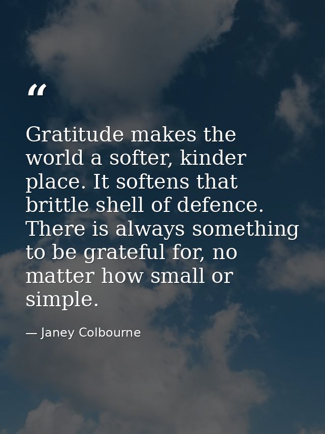 Gratitude makes the world a softer, kinder place. It softens that brittle shell of defence. There is always something to — Janey Colbourne