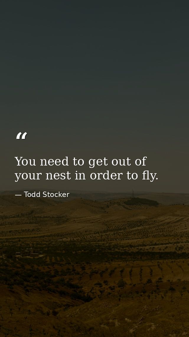 You need to get out of your nest in order to fly. — Todd Stocker