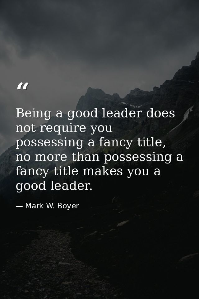Being a good leader does not require you possessing a fancy title, no more than possessing a fancy title makes you a goo — Mark W. Boyer