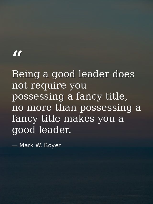 Being a good leader does not require you possessing a fancy title, no more than possessing a fancy title makes you a goo — Mark W. Boyer