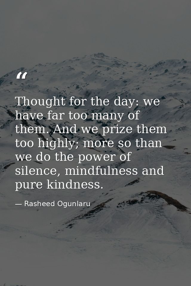 Thought for the day: we have far too many of them. And we prize them too highly; more so than we do the power of silence — Rasheed Ogunlaru