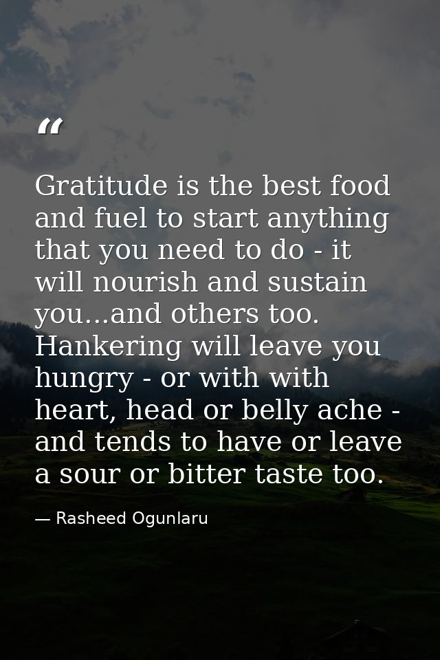 Gratitude is the best food and fuel to start anything that you need to do - it will nourish and sustain you...and others — Rasheed Ogunlaru