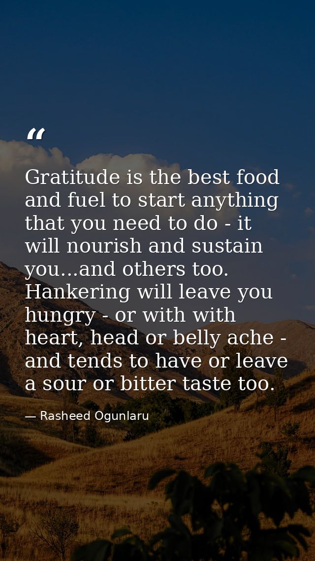 Gratitude is the best food and fuel to start anything that you need to do - it will nourish and sustain you...and others — Rasheed Ogunlaru