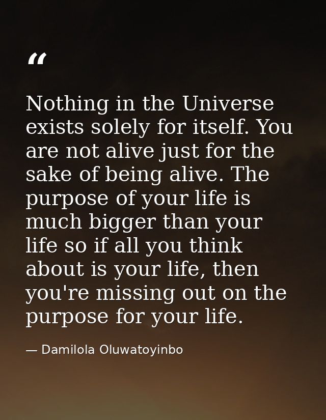 Nothing in the Universe exists solely for itself. You are not alive just for the sake of being alive. The purpose of you — Damilola Oluwatoyinbo