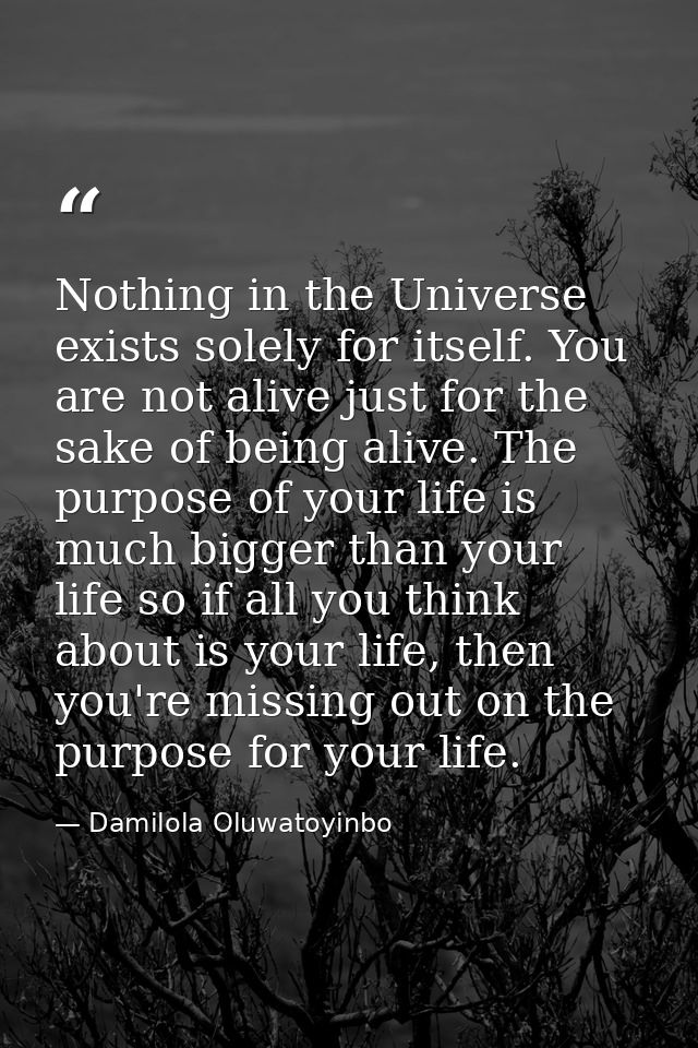 Nothing in the Universe exists solely for itself. You are not alive just for the sake of being alive. The purpose of you — Damilola Oluwatoyinbo