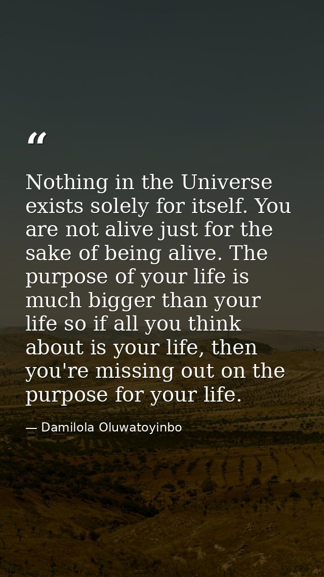 Nothing in the Universe exists solely for itself. You are not alive just for the sake of being alive. The purpose of you — Damilola Oluwatoyinbo