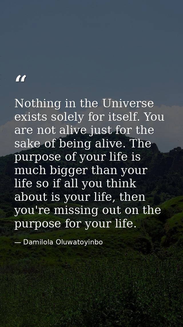 Nothing in the Universe exists solely for itself. You are not alive just for the sake of being alive. The purpose of you — Damilola Oluwatoyinbo