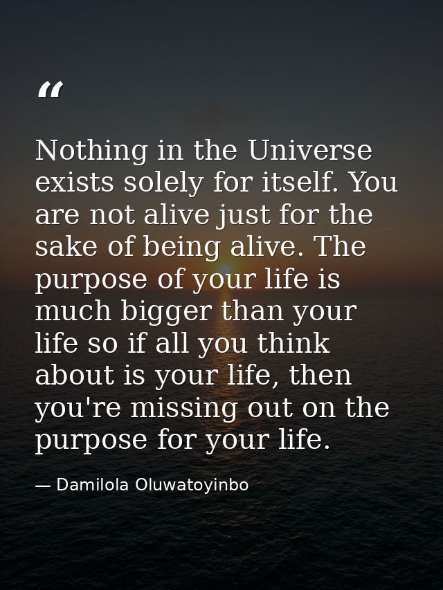 Nothing in the Universe exists solely for itself. You are not alive just for the sake of being alive. The purpose of you — Damilola Oluwatoyinbo