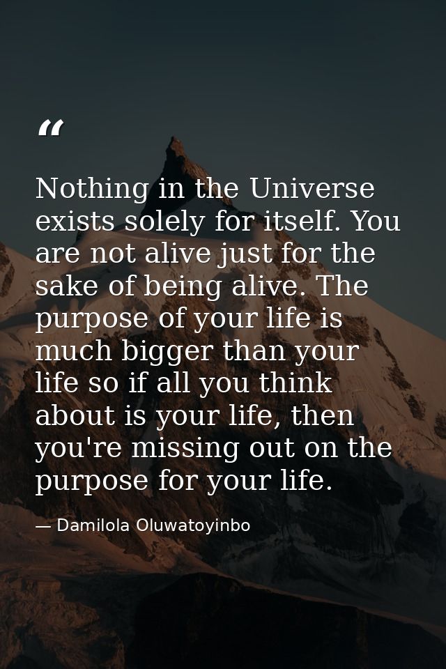Nothing in the Universe exists solely for itself. You are not alive just for the sake of being alive. The purpose of you — Damilola Oluwatoyinbo