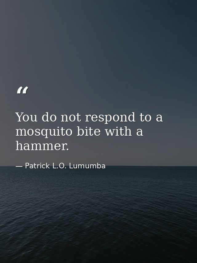 You do not respond to a mosquito bite with a hammer. — Patrick L.O. Lumumba