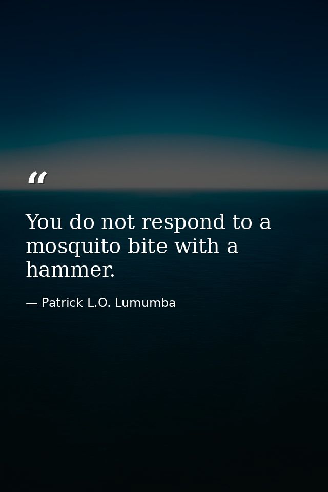 You do not respond to a mosquito bite with a hammer. — Patrick L.O. Lumumba