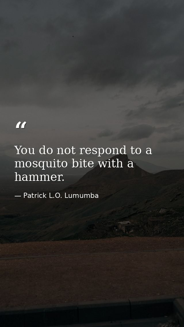 You do not respond to a mosquito bite with a hammer. — Patrick L.O. Lumumba