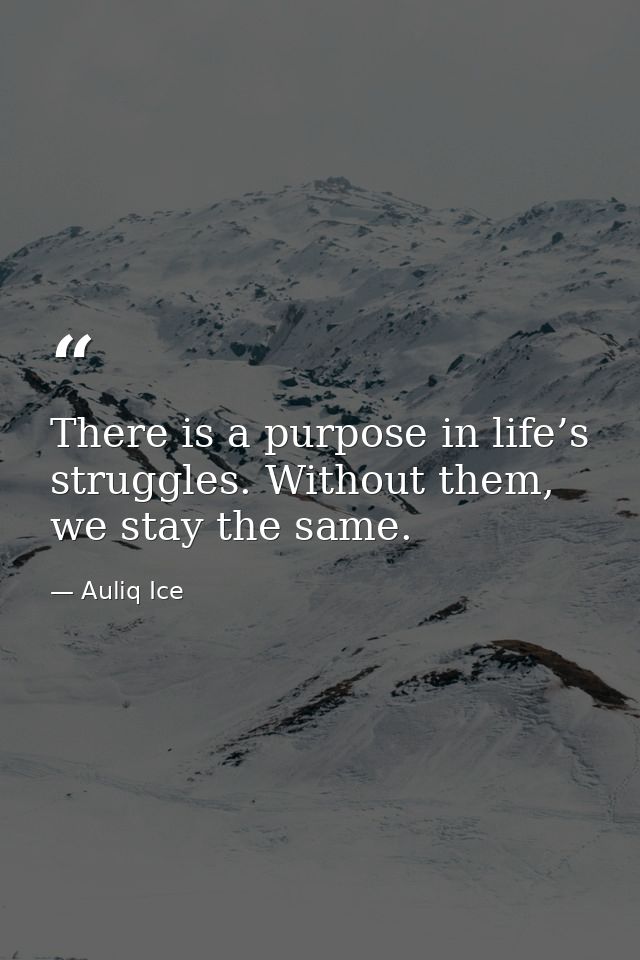There is a purpose in life’s struggles. Without them, we stay the same. — Auliq Ice