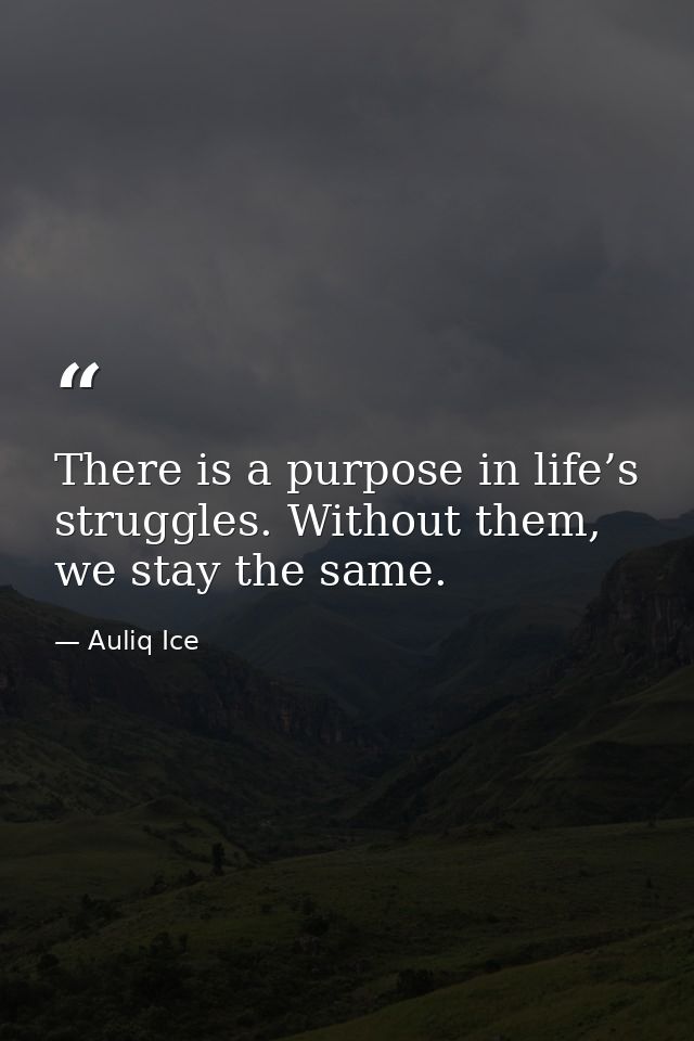 There is a purpose in life’s struggles. Without them, we stay the same. — Auliq Ice