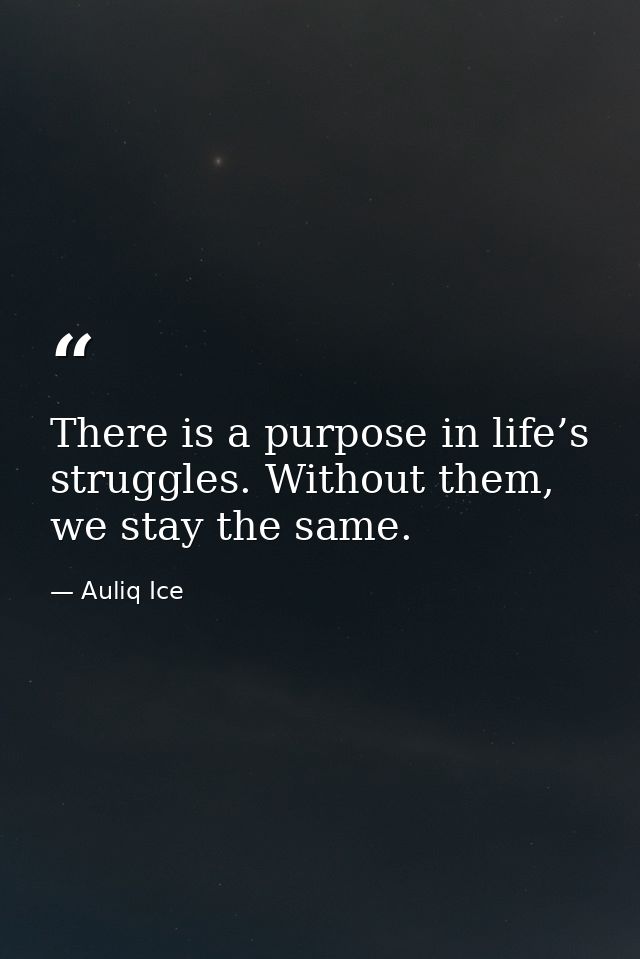 There is a purpose in life’s struggles. Without them, we stay the same. — Auliq Ice